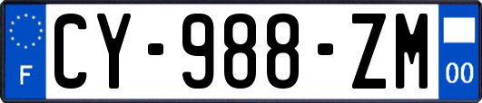 CY-988-ZM