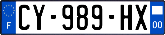 CY-989-HX