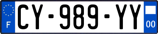 CY-989-YY