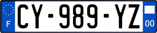 CY-989-YZ