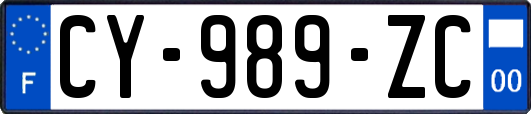 CY-989-ZC