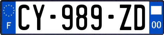 CY-989-ZD