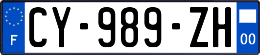 CY-989-ZH
