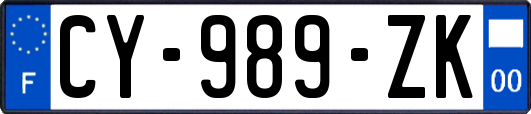 CY-989-ZK