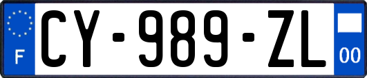CY-989-ZL