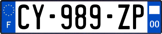CY-989-ZP