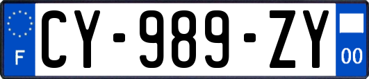 CY-989-ZY