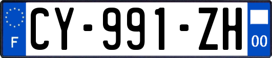 CY-991-ZH