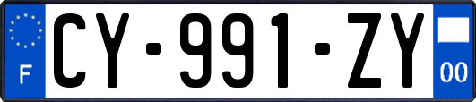 CY-991-ZY