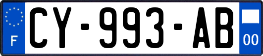 CY-993-AB