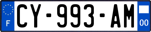 CY-993-AM