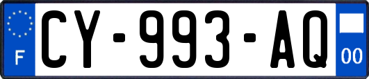 CY-993-AQ