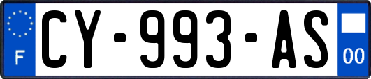 CY-993-AS