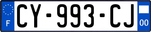 CY-993-CJ