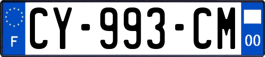 CY-993-CM