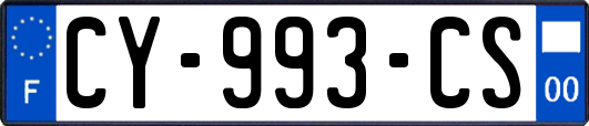 CY-993-CS