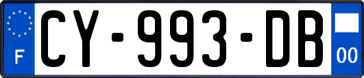 CY-993-DB