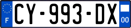 CY-993-DX