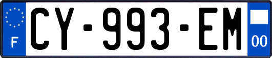 CY-993-EM