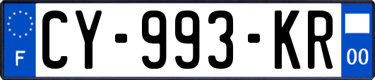 CY-993-KR