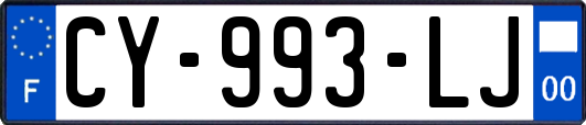 CY-993-LJ