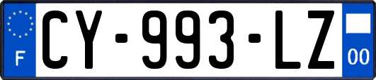 CY-993-LZ