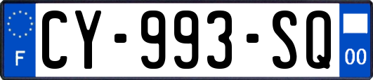 CY-993-SQ