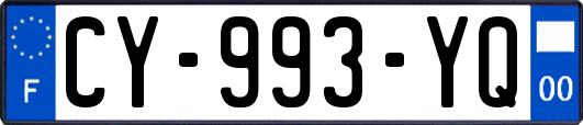 CY-993-YQ