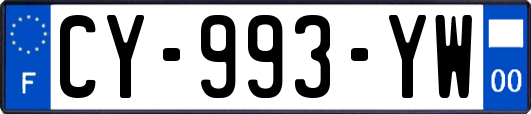 CY-993-YW
