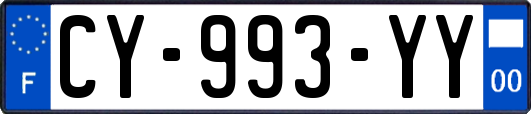 CY-993-YY