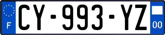 CY-993-YZ
