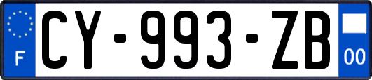 CY-993-ZB