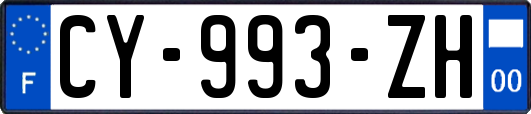 CY-993-ZH