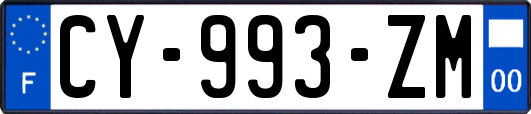 CY-993-ZM