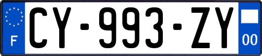 CY-993-ZY