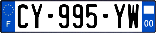 CY-995-YW