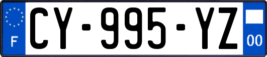 CY-995-YZ