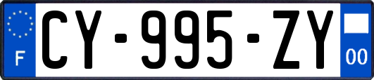 CY-995-ZY