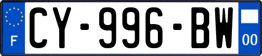 CY-996-BW