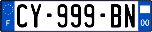 CY-999-BN