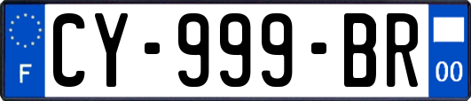 CY-999-BR