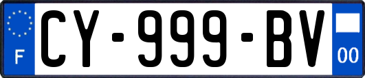 CY-999-BV