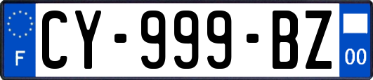 CY-999-BZ