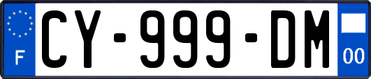 CY-999-DM