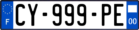 CY-999-PE