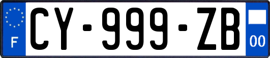 CY-999-ZB