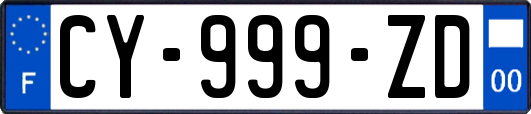 CY-999-ZD
