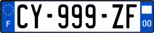 CY-999-ZF
