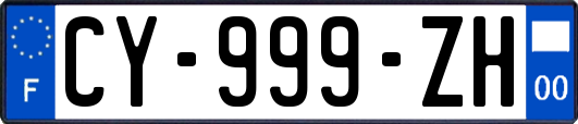 CY-999-ZH