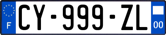 CY-999-ZL